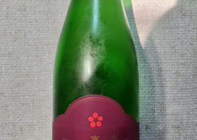 alt 1