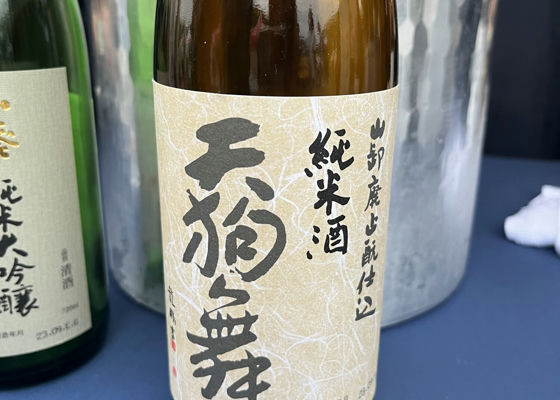 alt 1