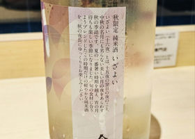 alt 3