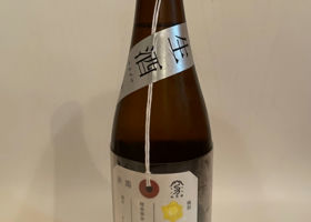 荷札酒　黄水仙 チェックイン 2