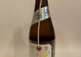 荷札酒　黄水仙 Check-in 2