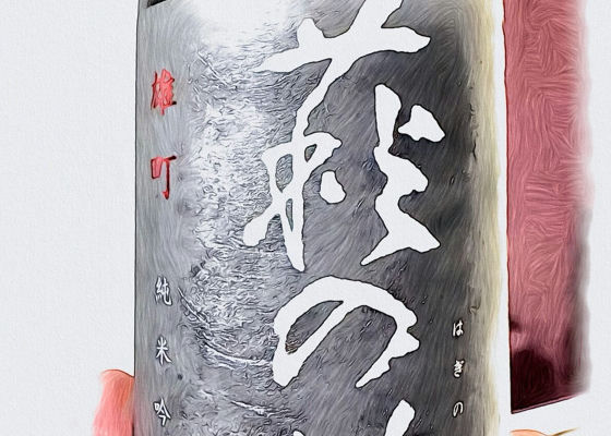 alt 1