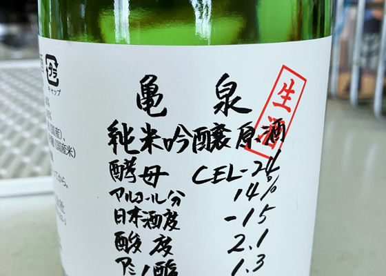 alt 1