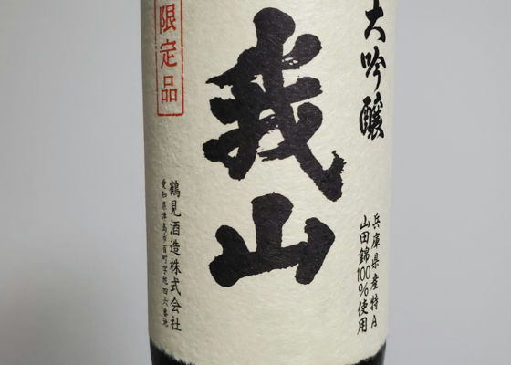 alt 1