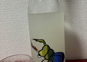 alt 1