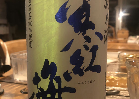 alt 1