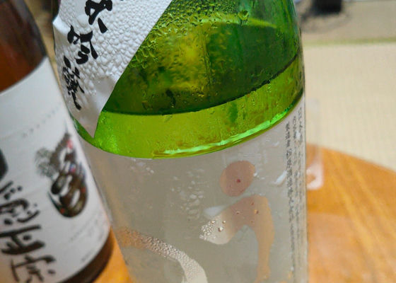 alt 1