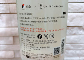 alt 3