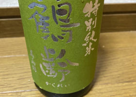 alt 1