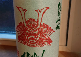 alt 1