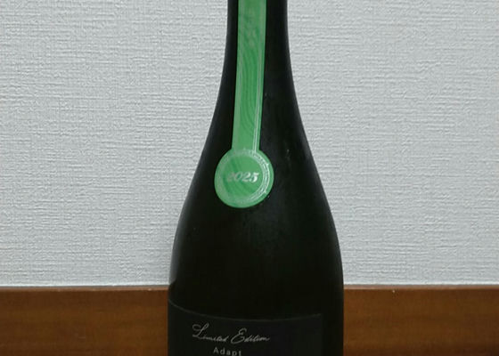 alt 1