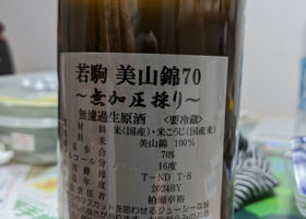 alt 3