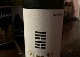 alt 1