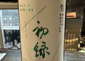 alt 1