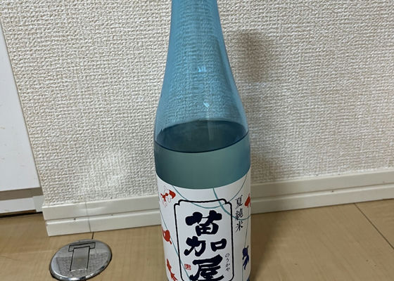 alt 1