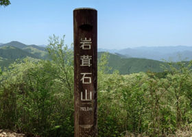 alt 4