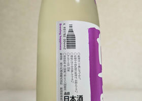alt 3