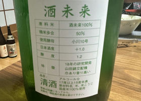 alt 3