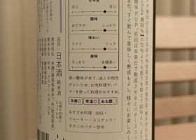 alt 3