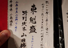 alt 3