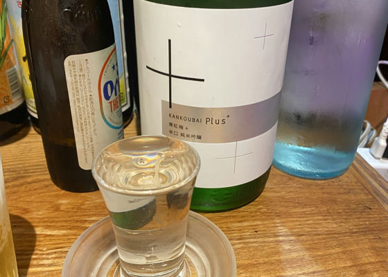 alt 1