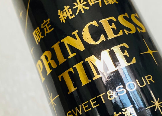 PRINCESS  TIME チェックイン 1