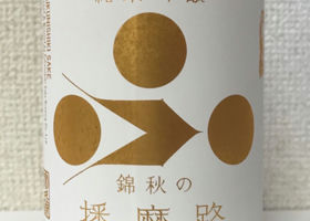 alt 1