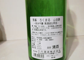 alt 3