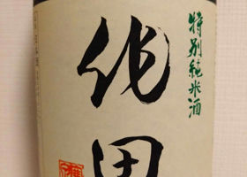 alt 1