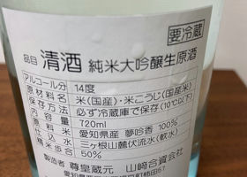 alt 2