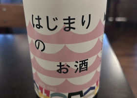 alt 1