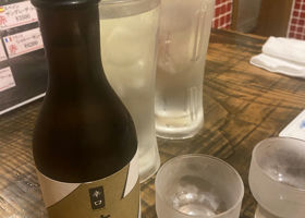 alt 1