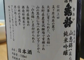 alt 3