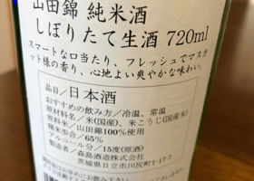 alt 3