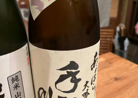 alt 1