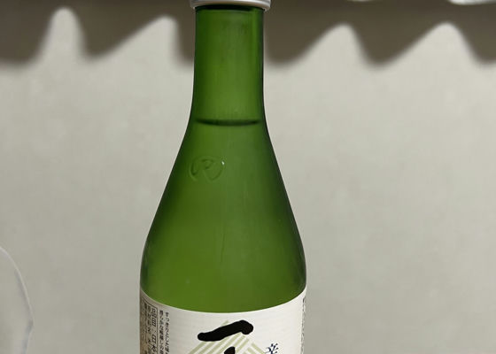 alt 1