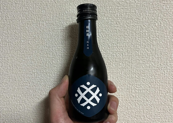 alt 1