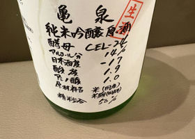 alt 1