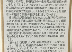 alt 3