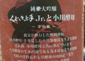 alt 2