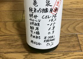 alt 1