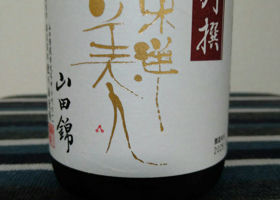alt 3