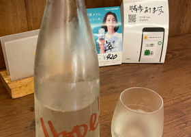 alt 1