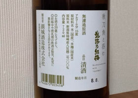 越路乃紅梅 チェックイン 2