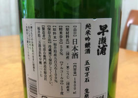 alt 3