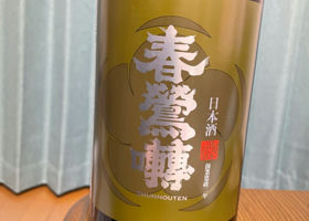 alt 1