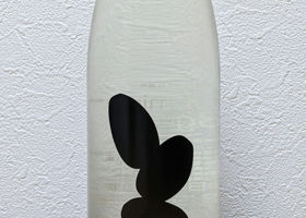 alt 1