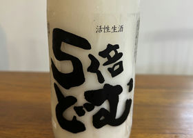alt 1