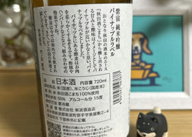 alt 2