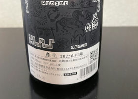 alt 2